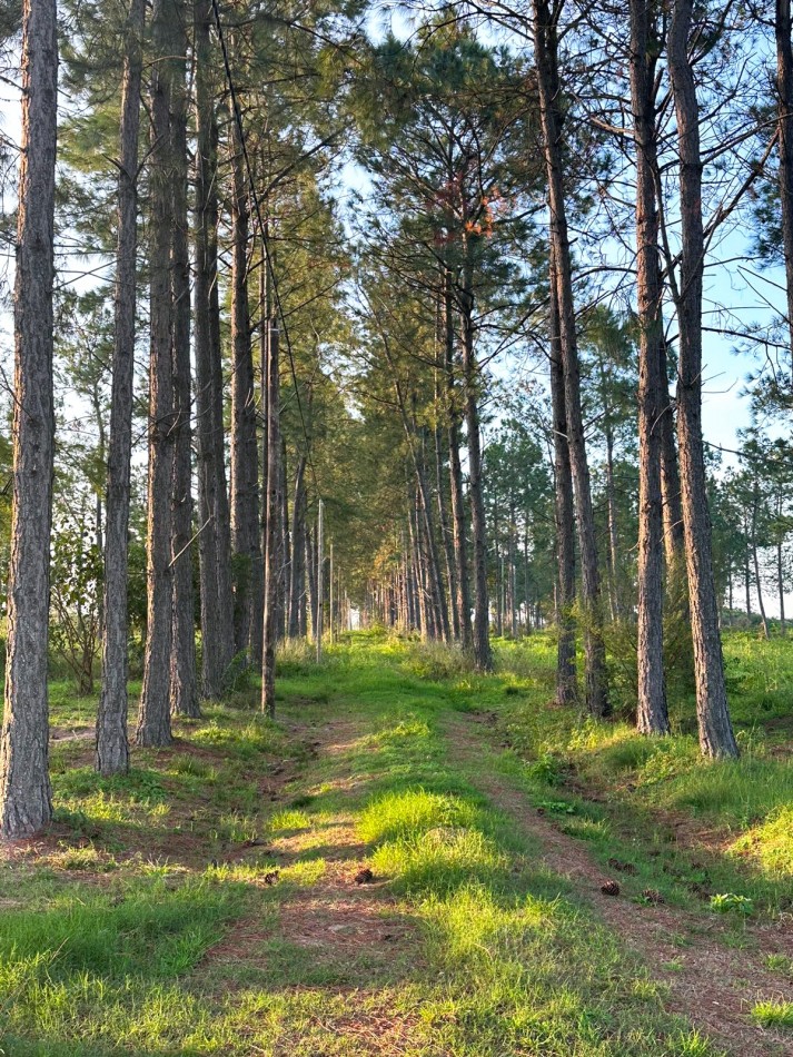 Terrenos en venta en Helvecia