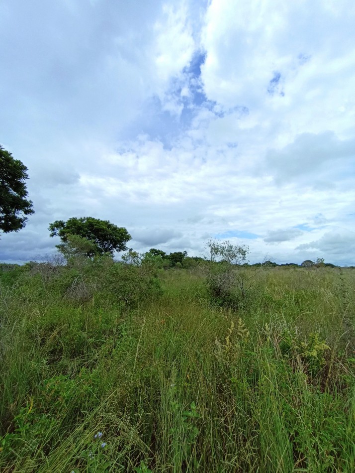 Campo de 2 Hectareas en venta en Cayasta 