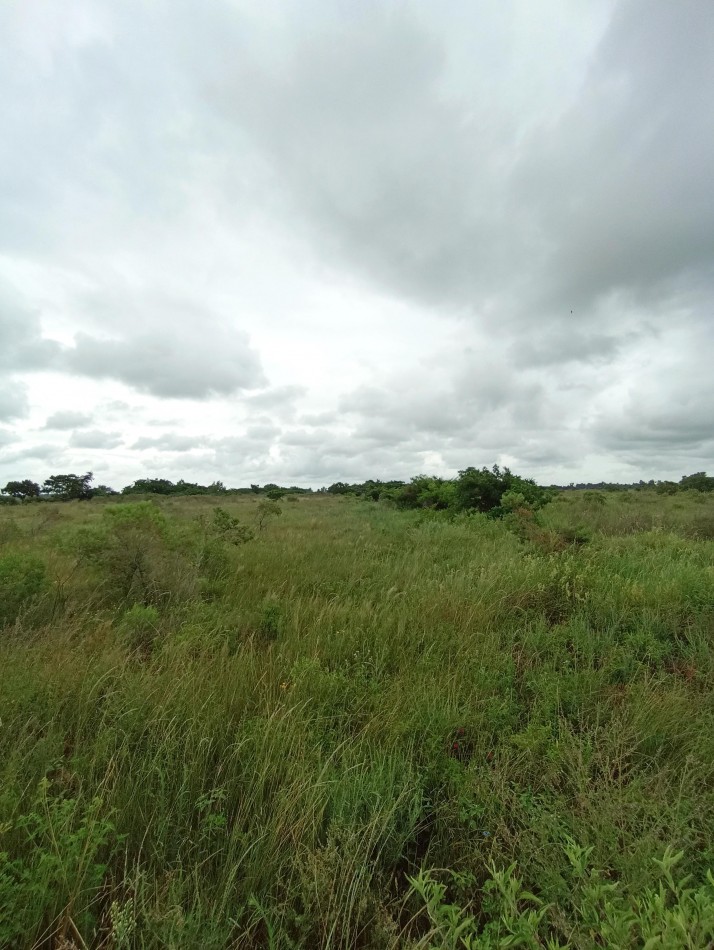 Campo de 2 Hectareas en venta en Cayasta 