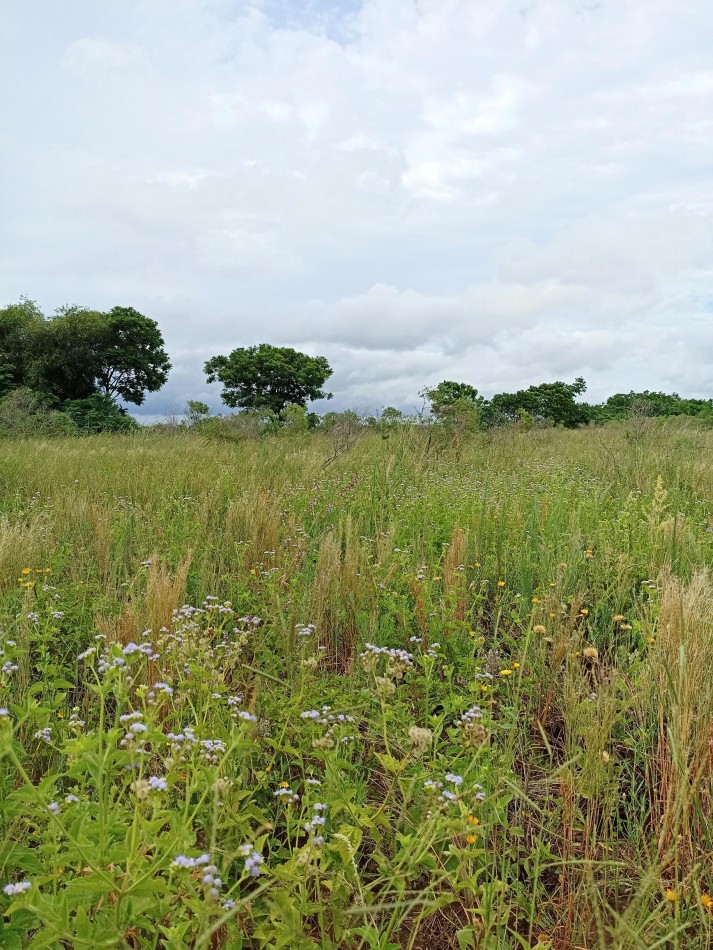 Campo de 2 Hectareas en venta en Cayasta 