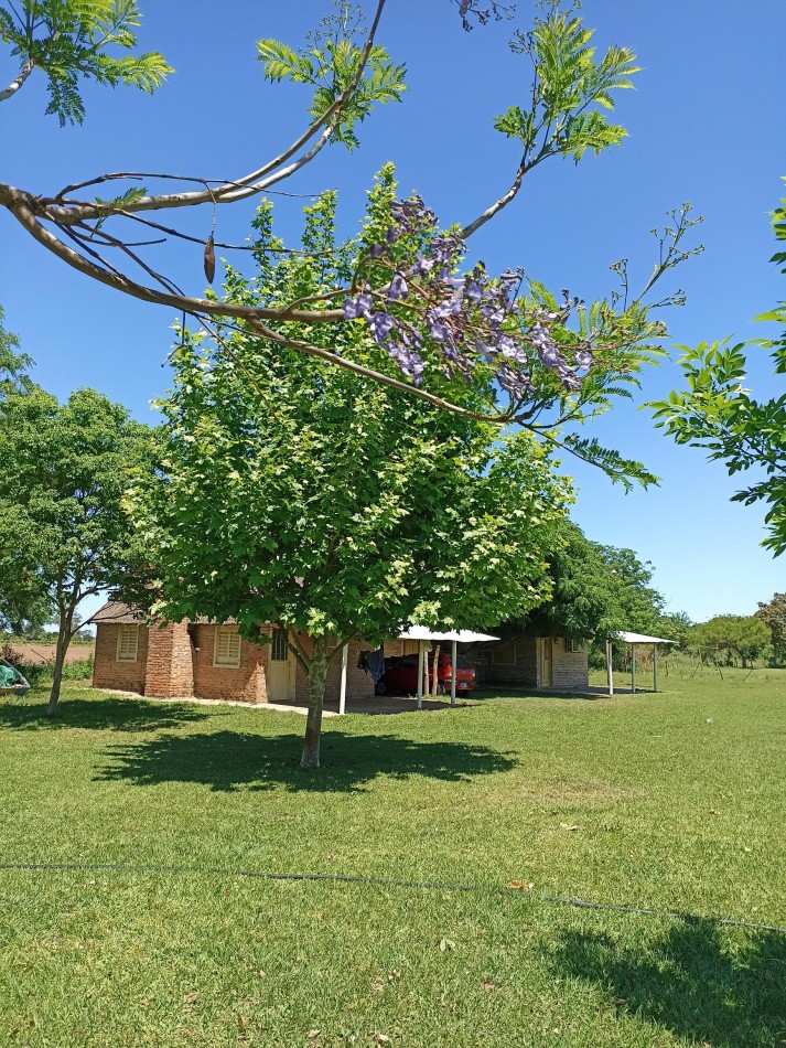 Campo con vista al rio en venta en Helvecia 