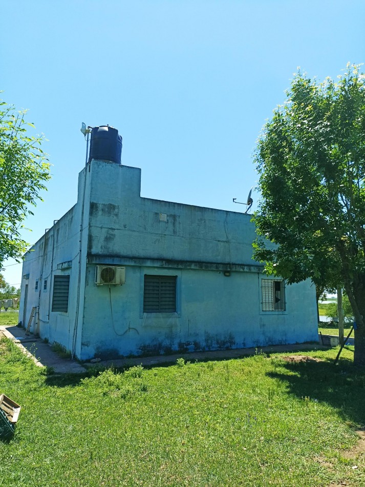 Campo con vista al rio en venta en Helvecia 