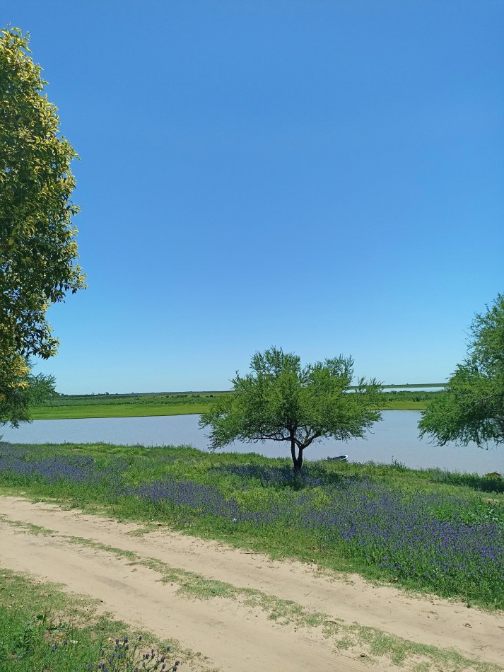 Campo con vista al rio en venta en Helvecia 