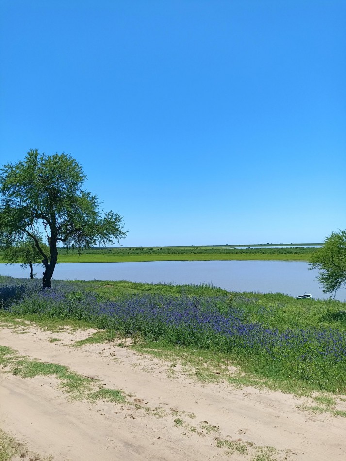 Campo con vista al rio en venta en Helvecia 