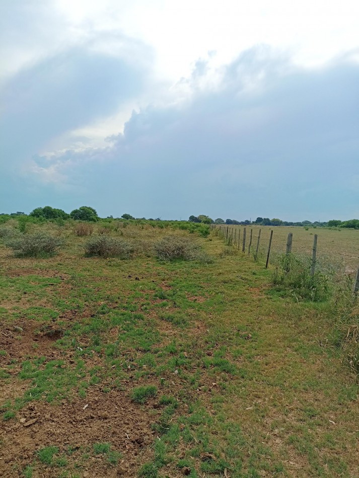 Campo de 40 Has ganaderas