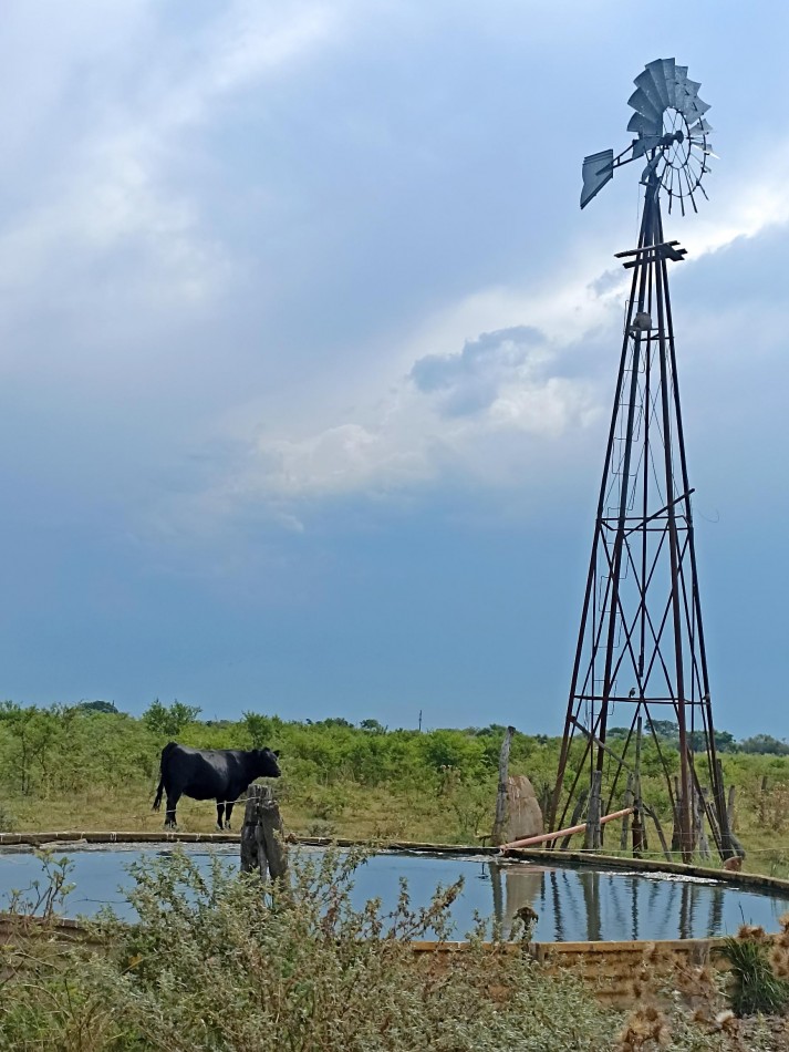 Campo de 40 Has ganaderas