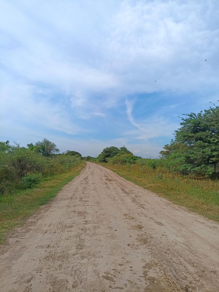 Campo de 40 Has ganaderas