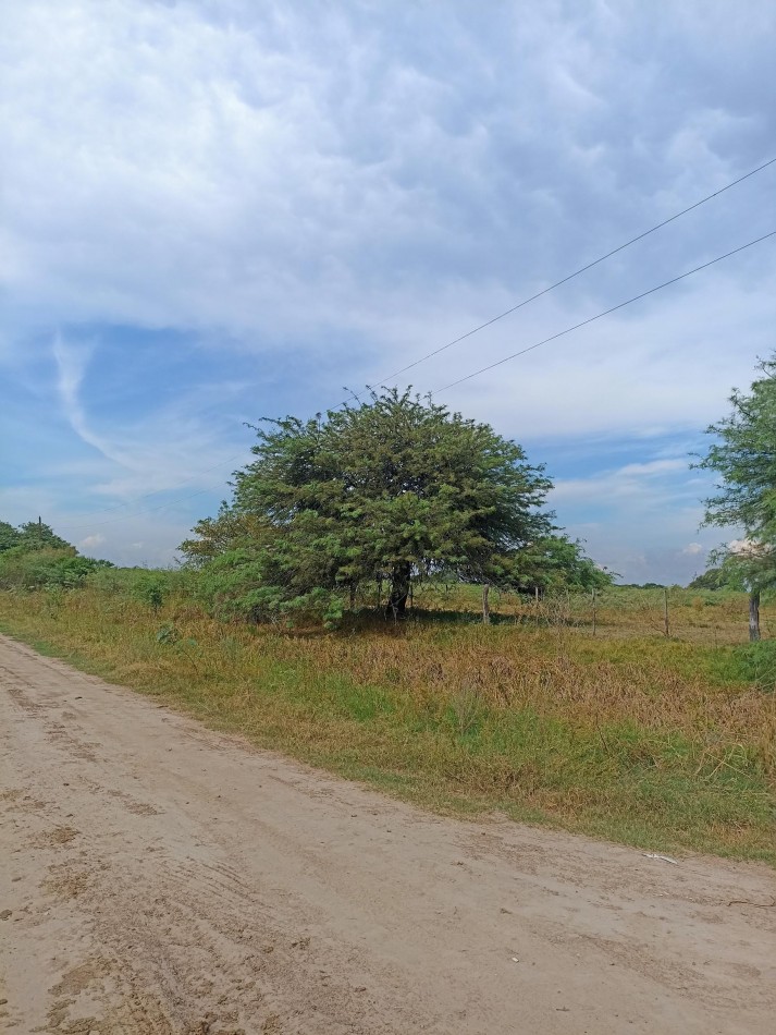 Campo de 40 Has ganaderas