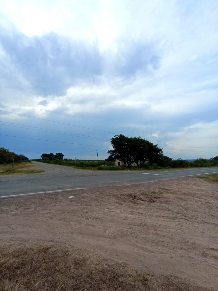 Campo de 40 Has ganaderas