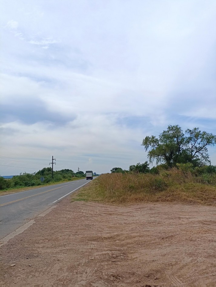 Campo de 40 Has ganaderas