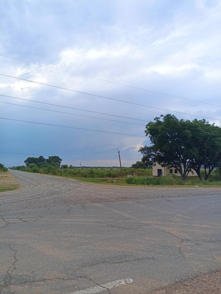 Campo de 40 Has ganaderas