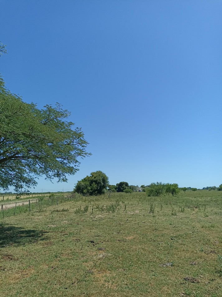 Campo de 13,6 Hectareas en venta 