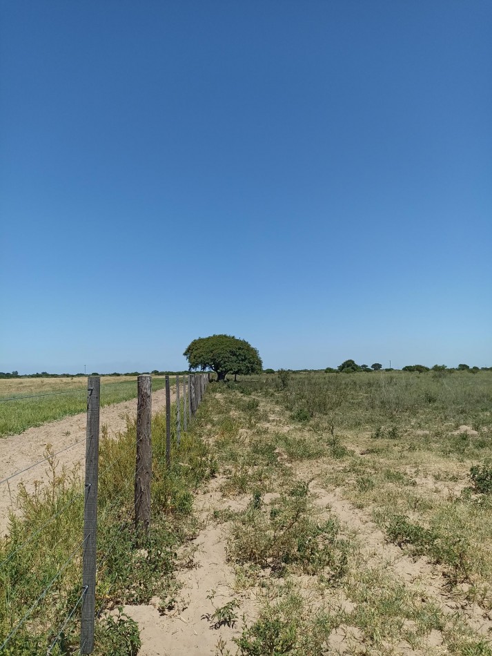 Campo de 13,6 Hectareas en venta 