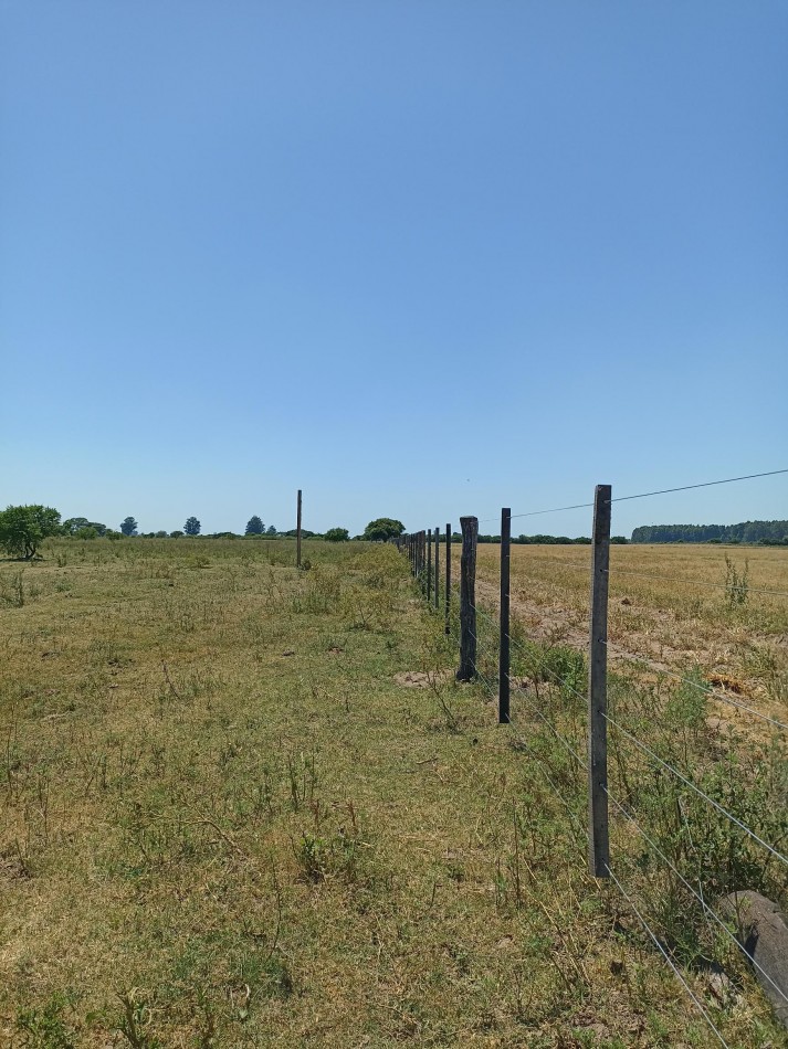 Campo de 13,6 Hectareas en venta 