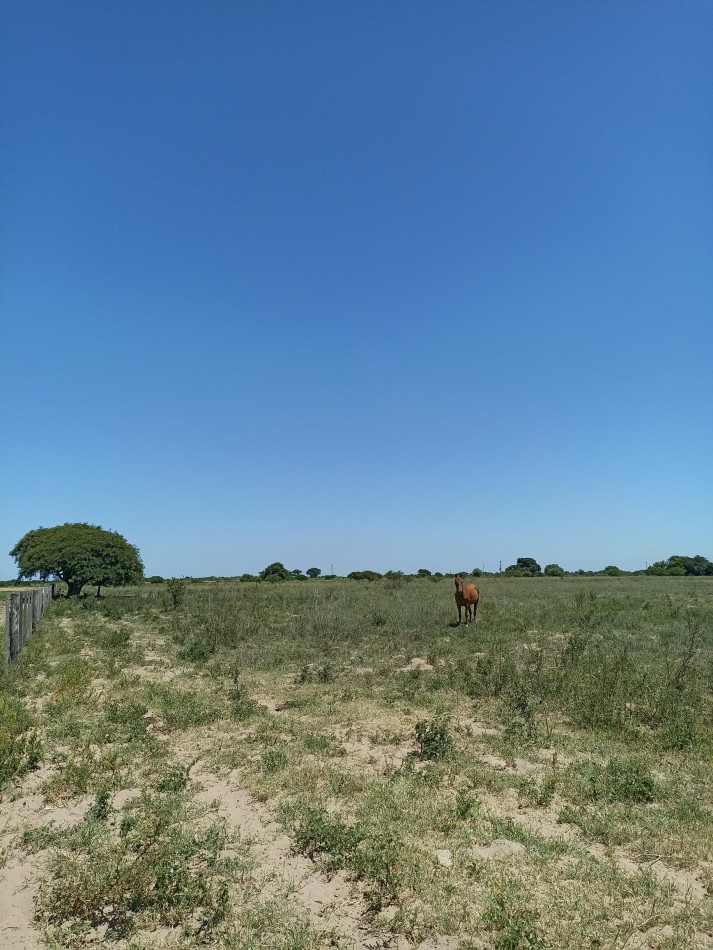 Campo de 13,6 Hectareas en venta 