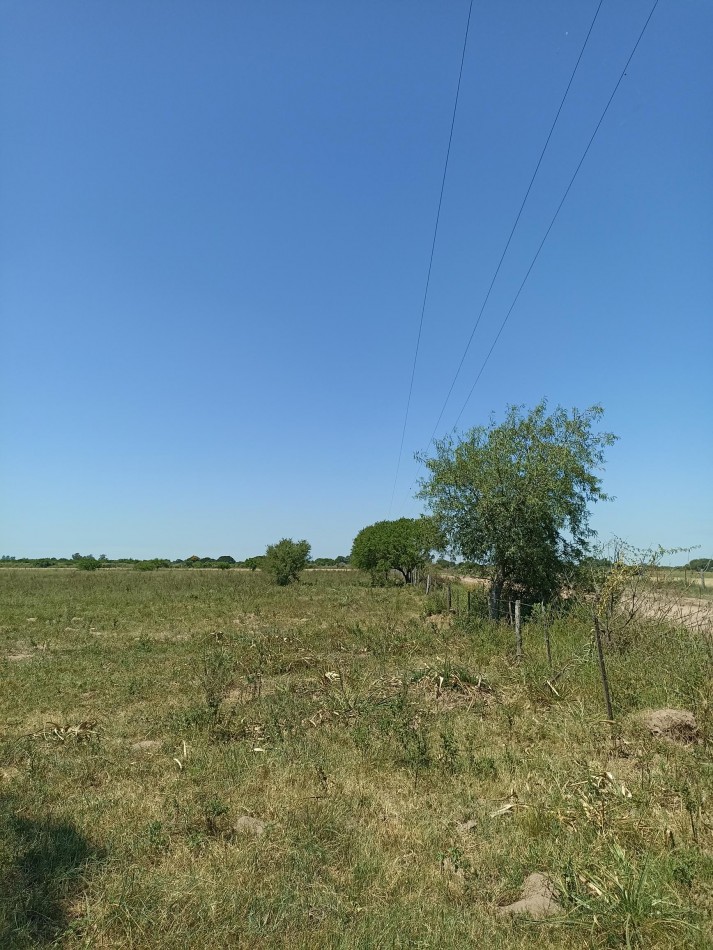 Campo de 13,6 Hectareas en venta 