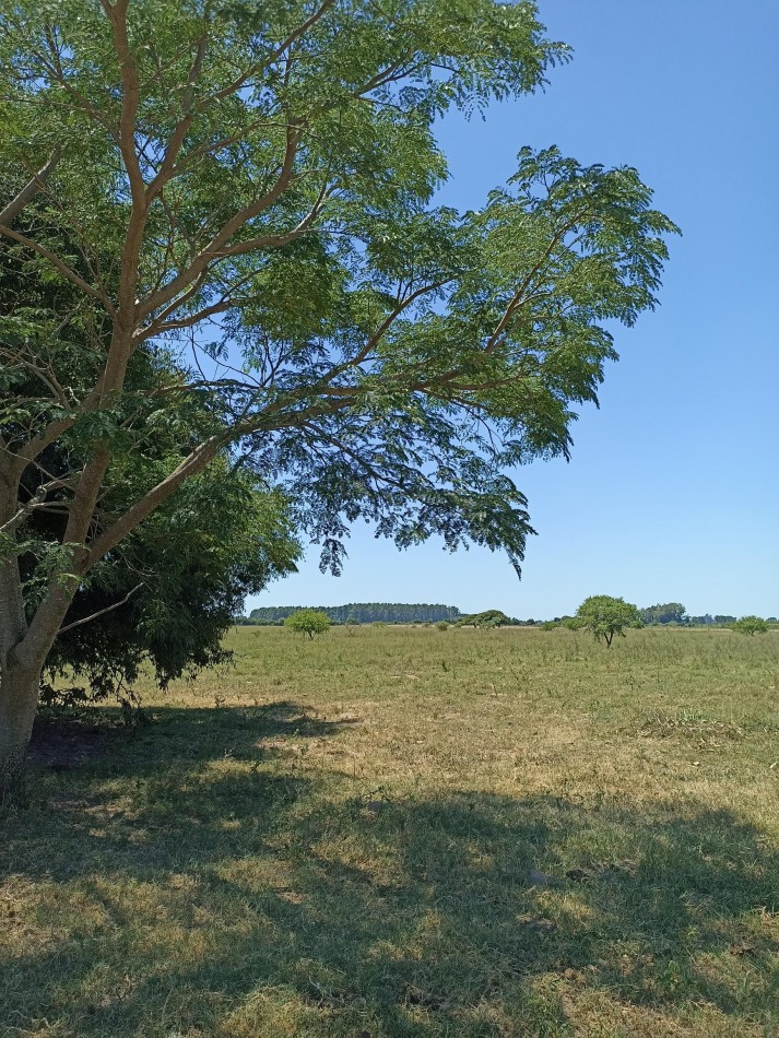 Campo de 13,6 Hectareas en venta 