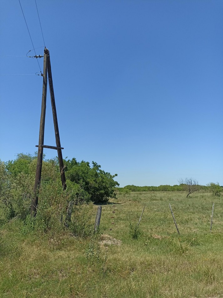 Campo de 13,6 Hectareas en venta 