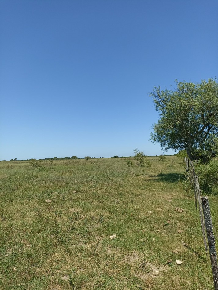 Campo de 13,6 Hectareas en venta 