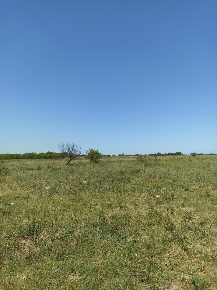 Campo de 13,6 Hectareas en venta 