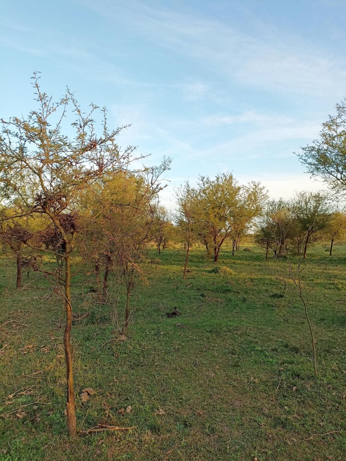 Campo en venta en Helvecia 