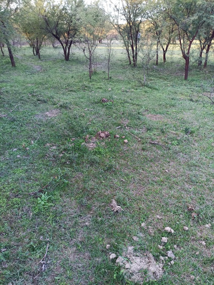 Campo en venta en Helvecia 