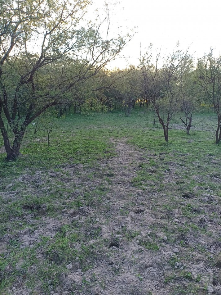 Campo en venta en Helvecia 