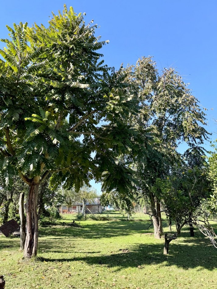 Terreno en venta en Santa Rosa de Calchines 
