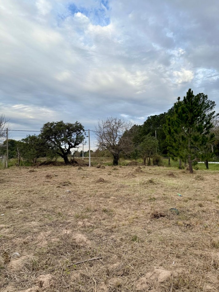 Terreno en venta en Rincon 