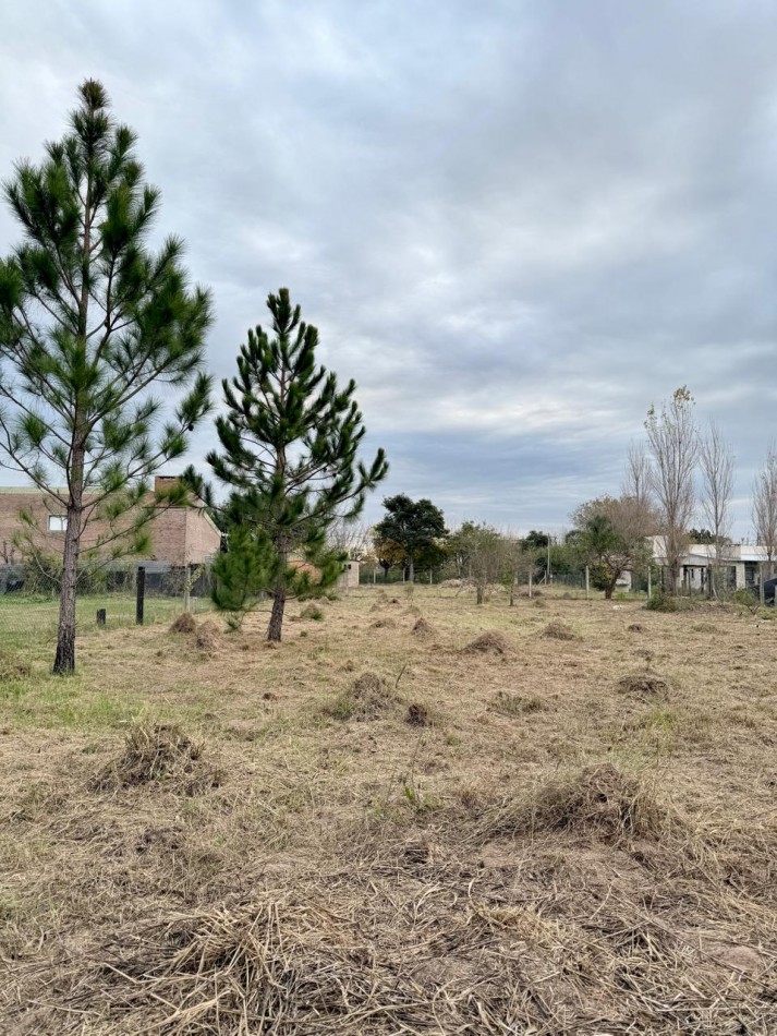 Terreno en venta en Rincon 