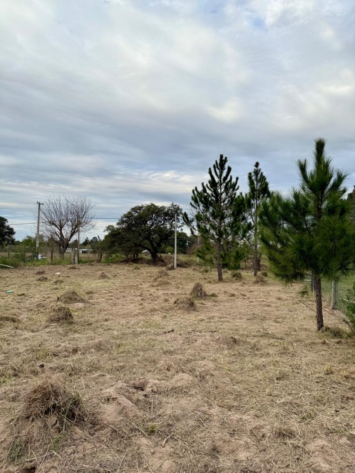 Terreno en venta en Rincon 