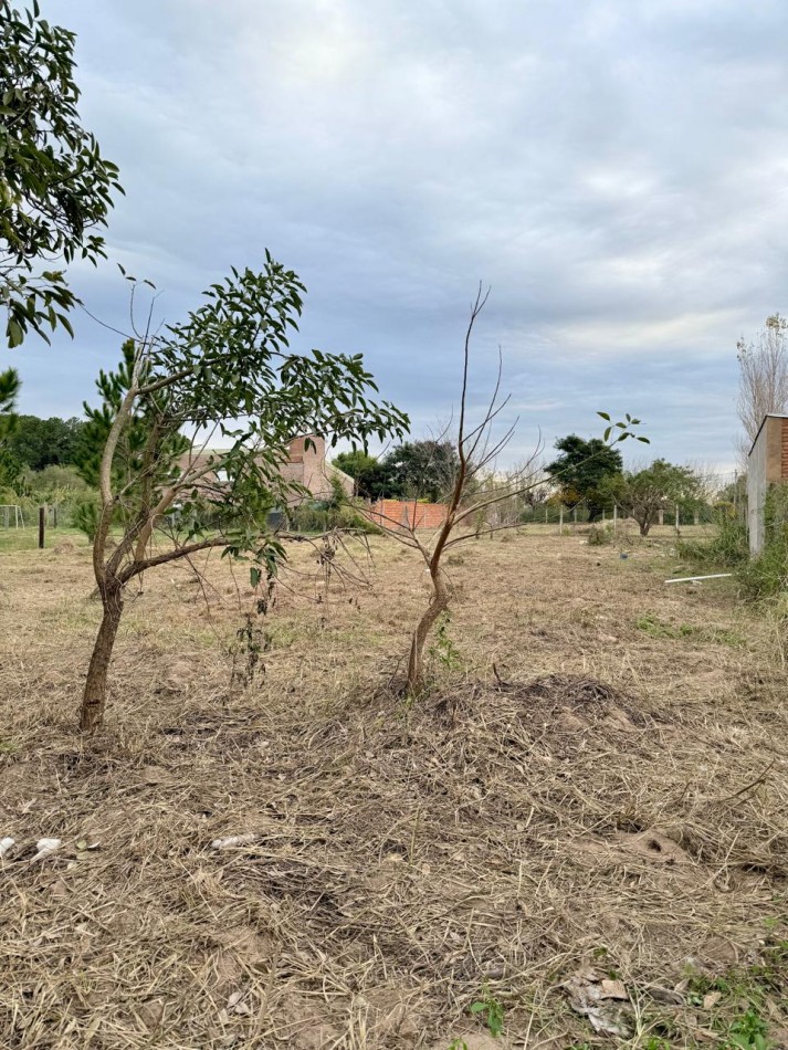 Terreno en venta en Rincon 
