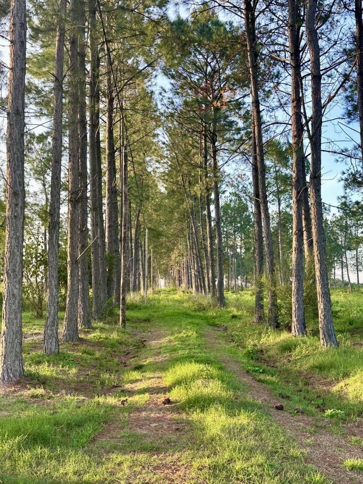 Terreno en venta en Helvecia 