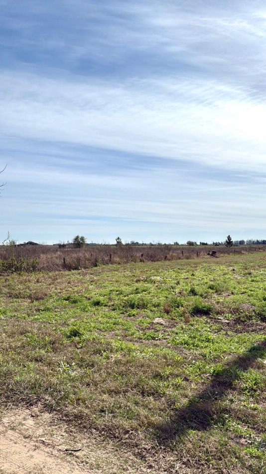 Terreno en venta en Cayasta 