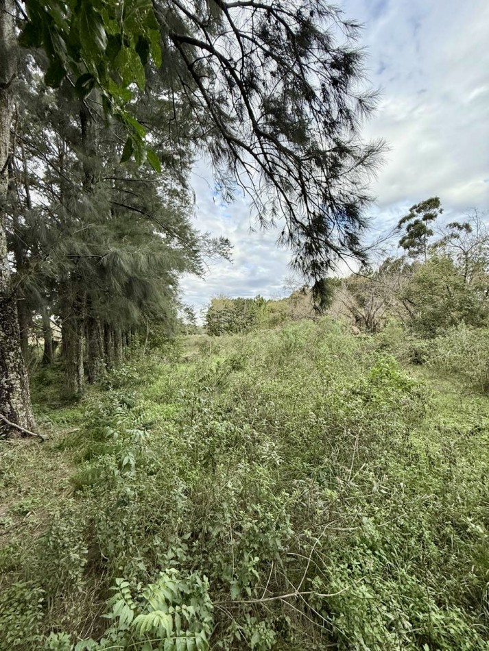 Terreno en venta en Arroyo Leyes