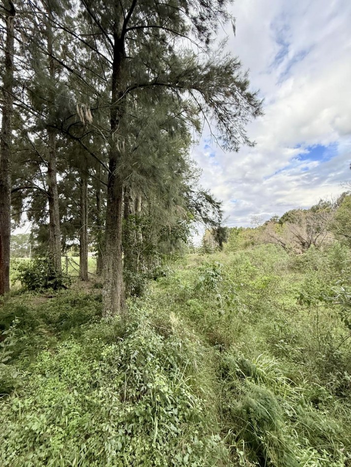 Terreno en venta en Arroyo Leyes