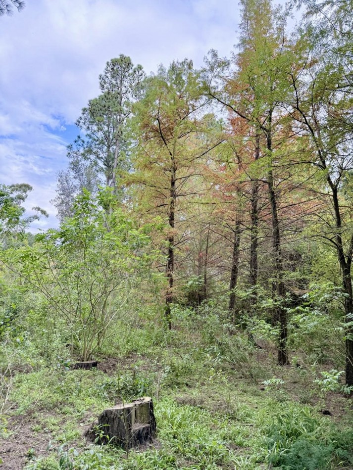 Terreno en venta en Arroyo Leyes