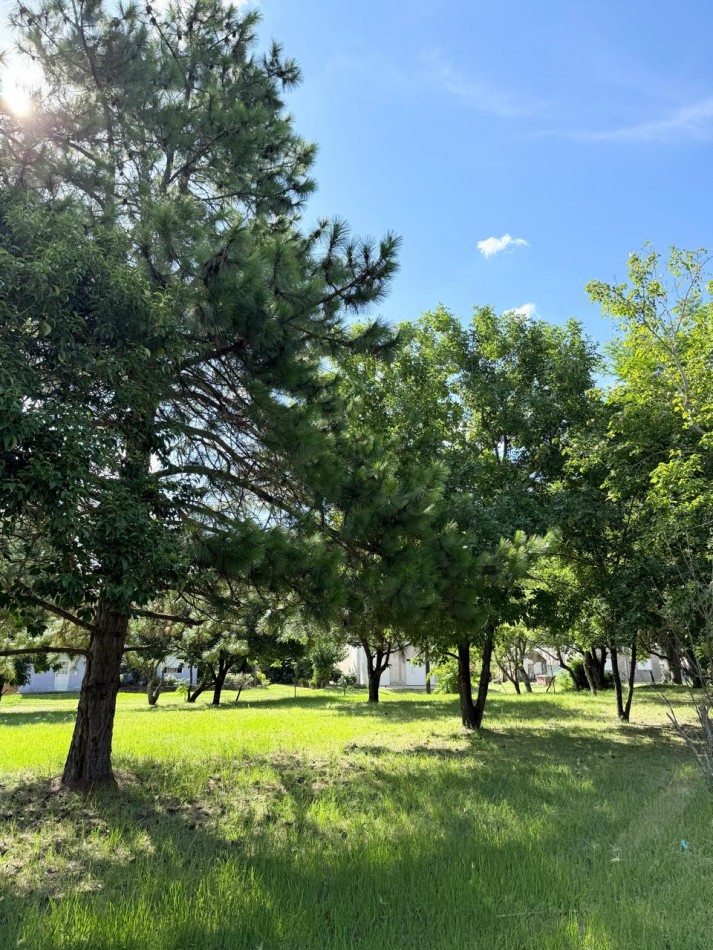 Terreno en venta en Cayasta 