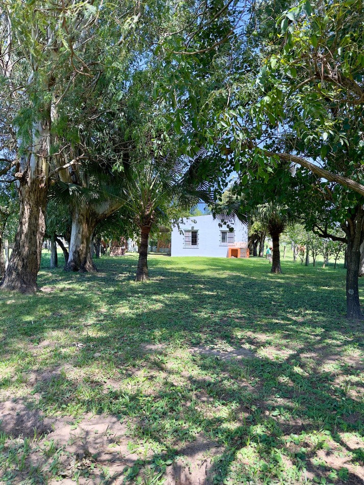 Casa en venta en Los Zapallos 