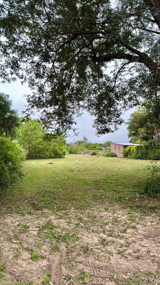 Terreno en venta 