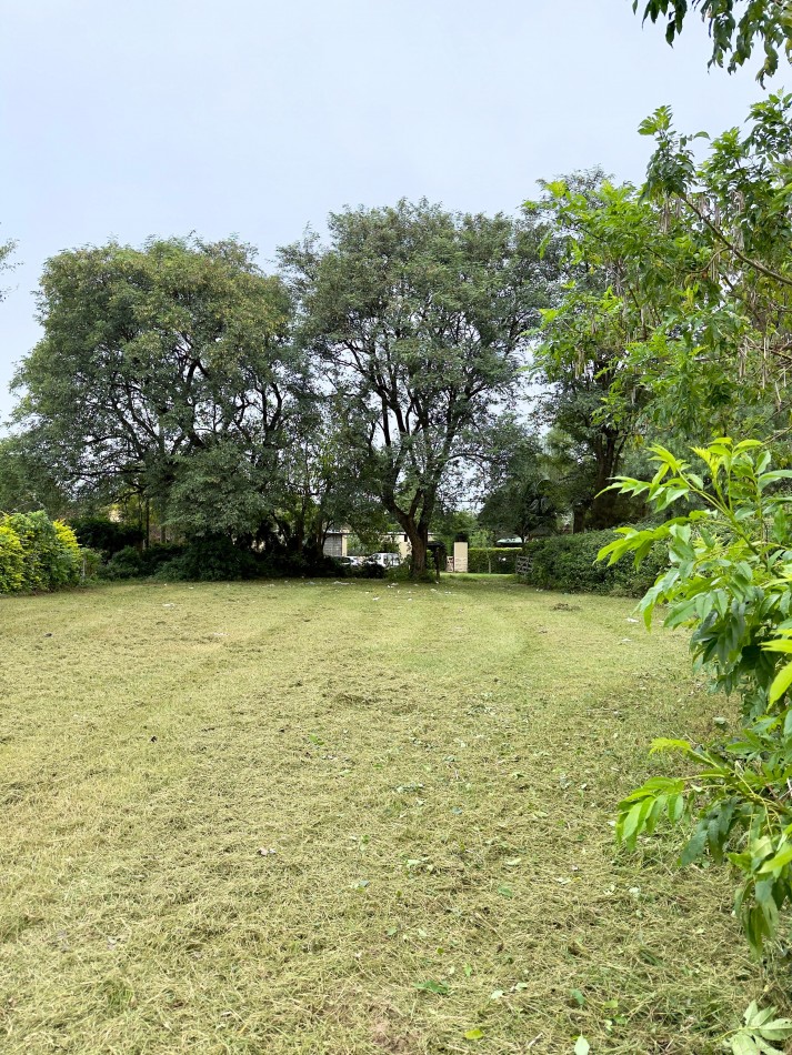Terreno en venta 