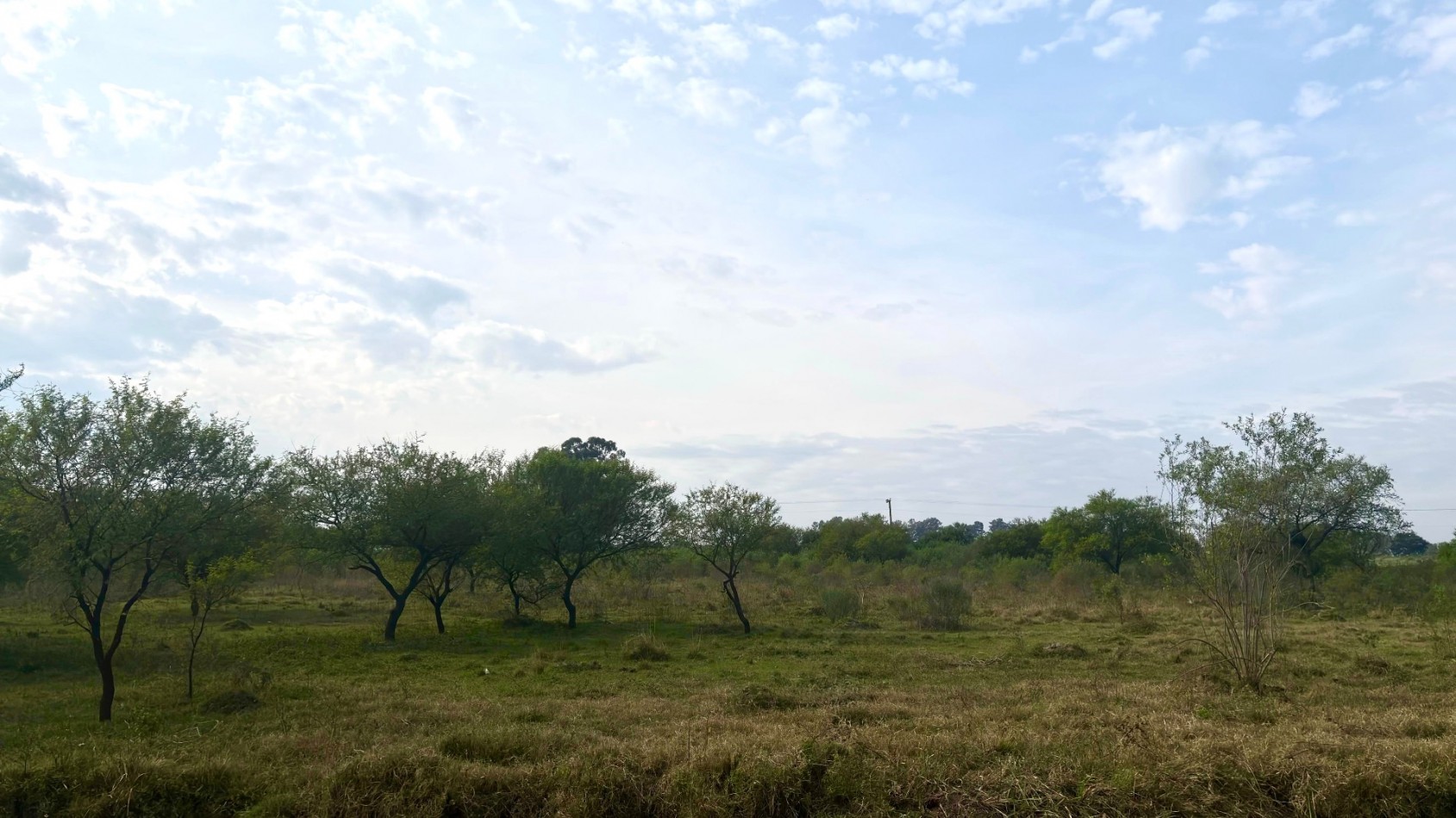 Terreno en venta en Helvecia