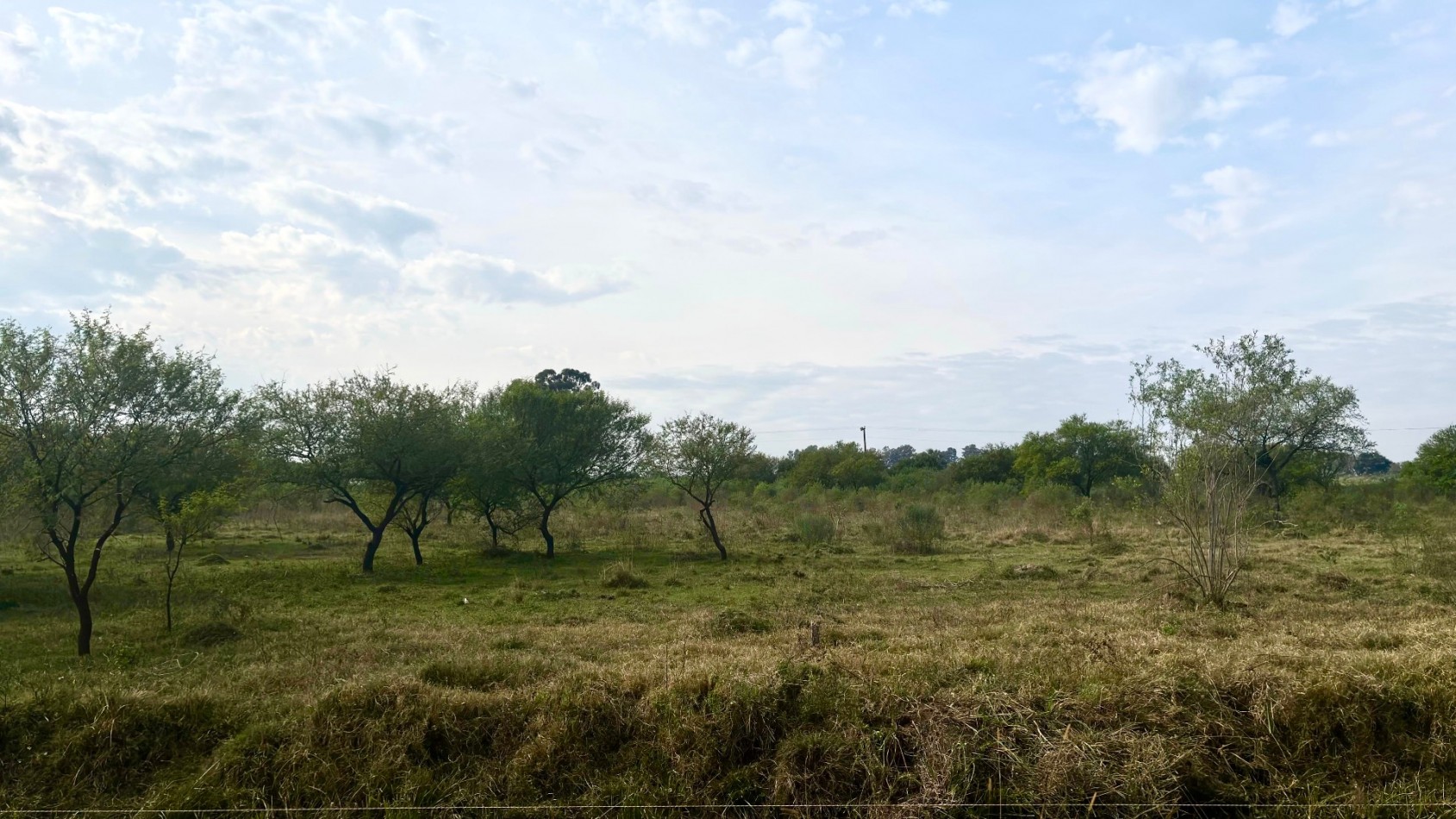 Terreno en venta en Helvecia