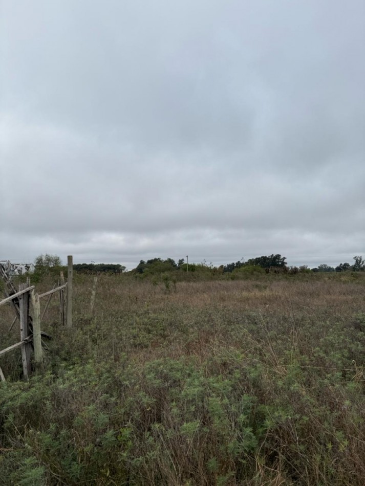 Campo en venta