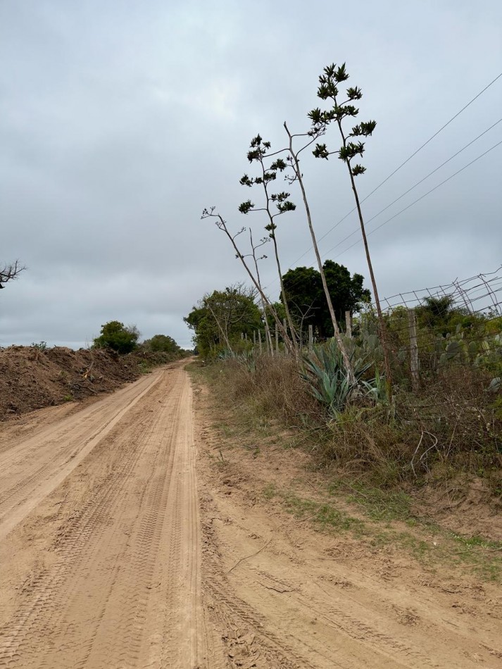 Campo en venta