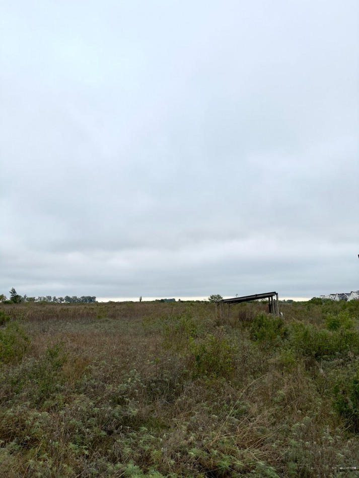 Campo en venta