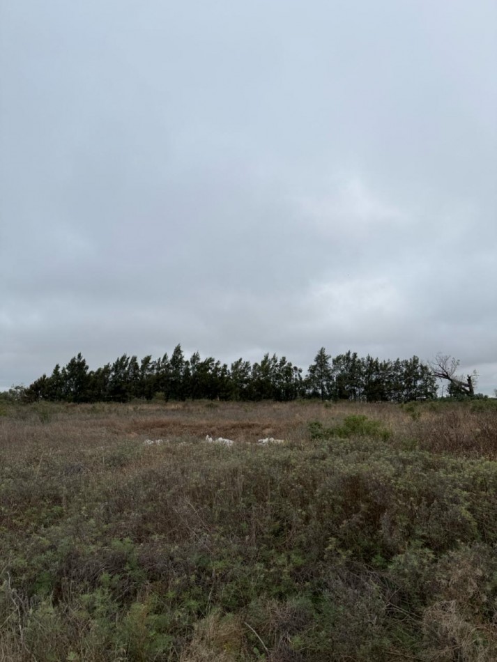 Campo en venta