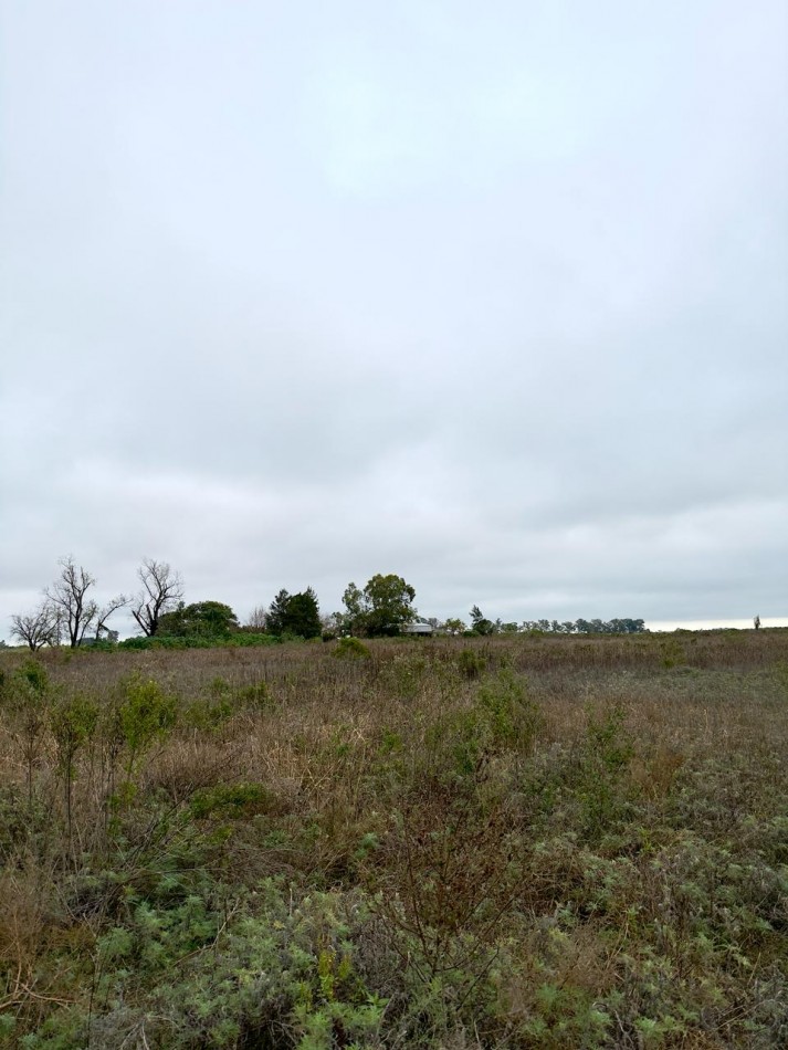 Campo en venta