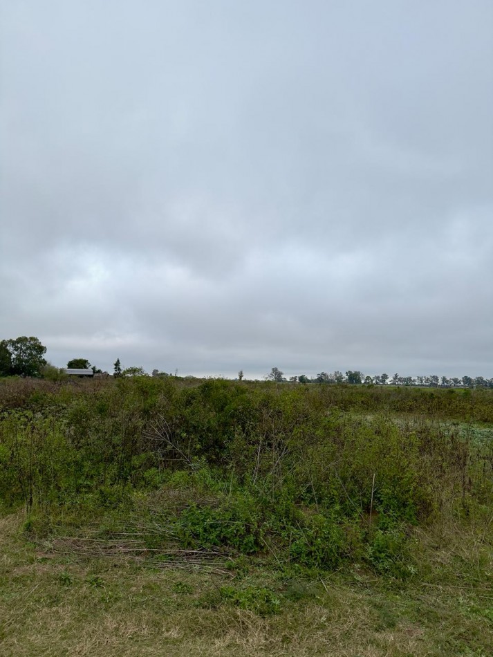Campo en venta