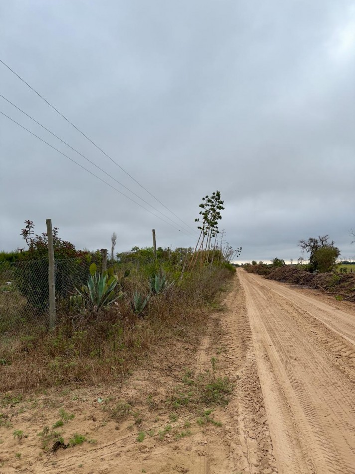 Campo en venta